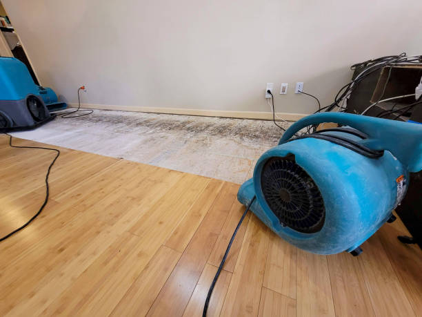 Professional Water Extraction technician working in Nunn, CO